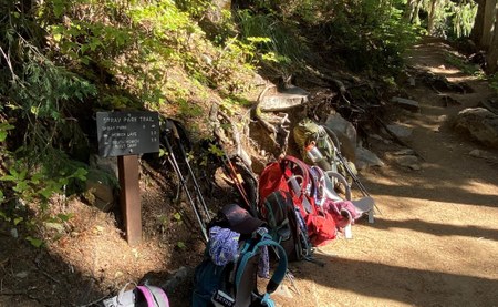 Volunteer With the Seattle Hiking Committee: Biannual Officer Elections 2024