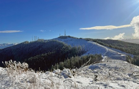 Winter Trail Running