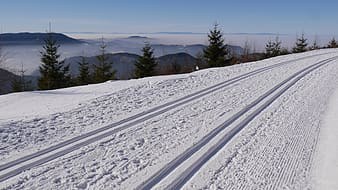 Skate Ski Class - Everett - 2025