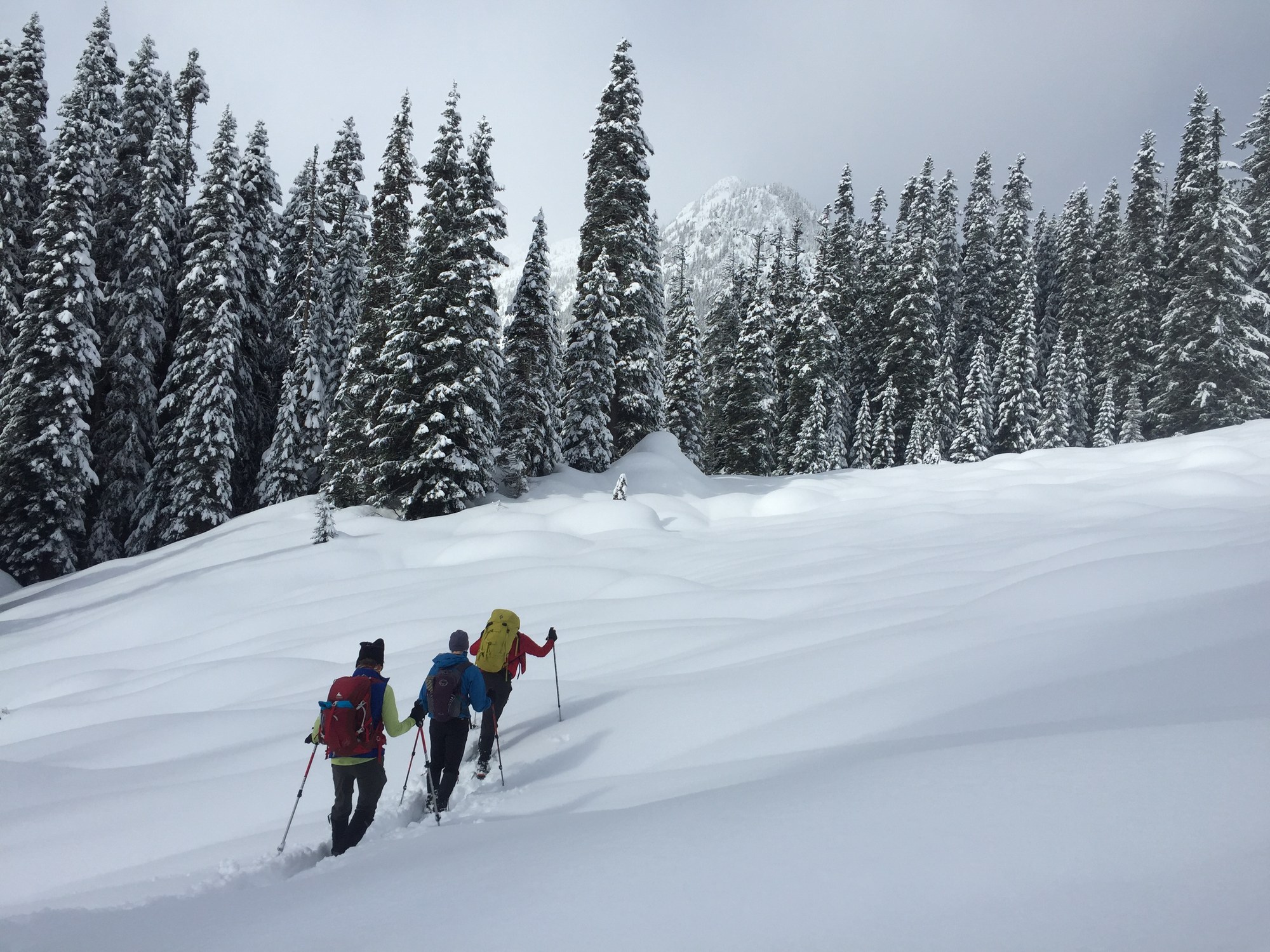 Basic Snowshoeing Course Everett 2024 The Mountaineers   Image