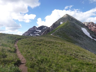 Backcountry Trail Running: Leadership - Foothills - 2024