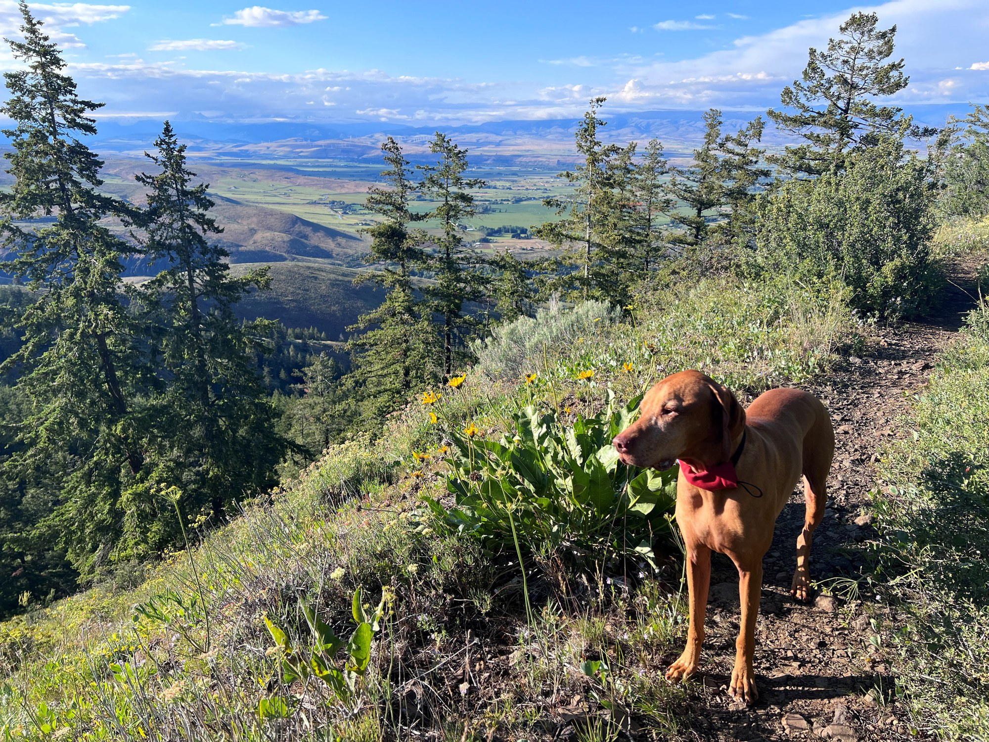 Introduction to Trail Running Racing - Ancient & Dusty Lakes — The ...