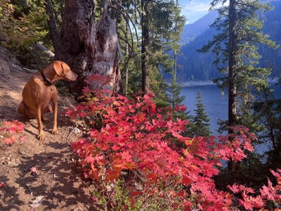 Introduction to Trail Running Racing - Far Country Falls