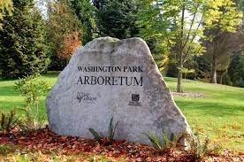 February Winter Conditioning Run: 6+ miles - Washington Park Arboretum