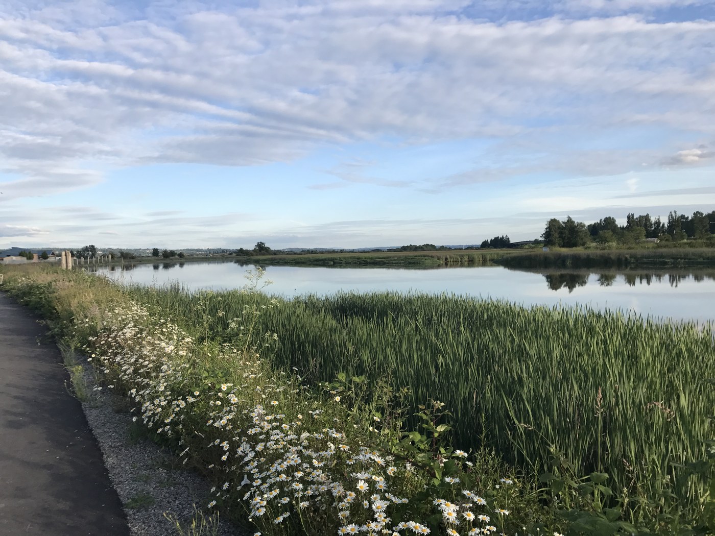 april-hikes-2-5-5-miles-250-1-000-feet-gain-ebey-slough-the