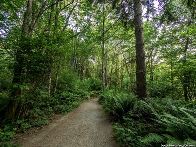 March  GoHike Pacing Urban Walk:  2 - 4 miles, 0 - 750 feet gain (optional). - Discovery Park