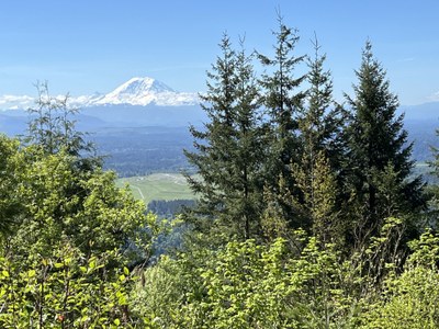 June Hikes: 3.5 to 6 miles, 400 to 1,500 feet gain - Squak Mountain: May Valley Access