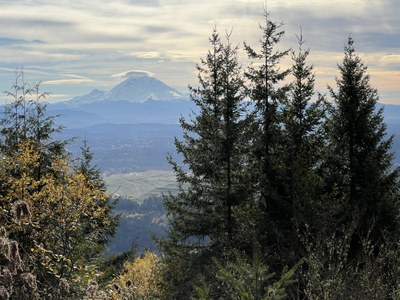 May Hikes: 3 to 5.5 miles, 300 to 1,250 feet gain - Debbie's View via Bullitt Fireplace Trail