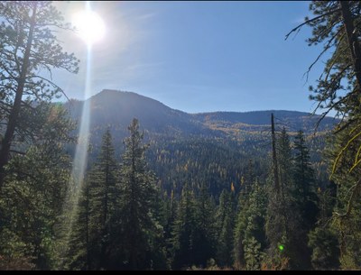 September Hikes: 4 to 8 miles, 750 to 2,000 feet gain - Swauk Forest Discovery Trail
