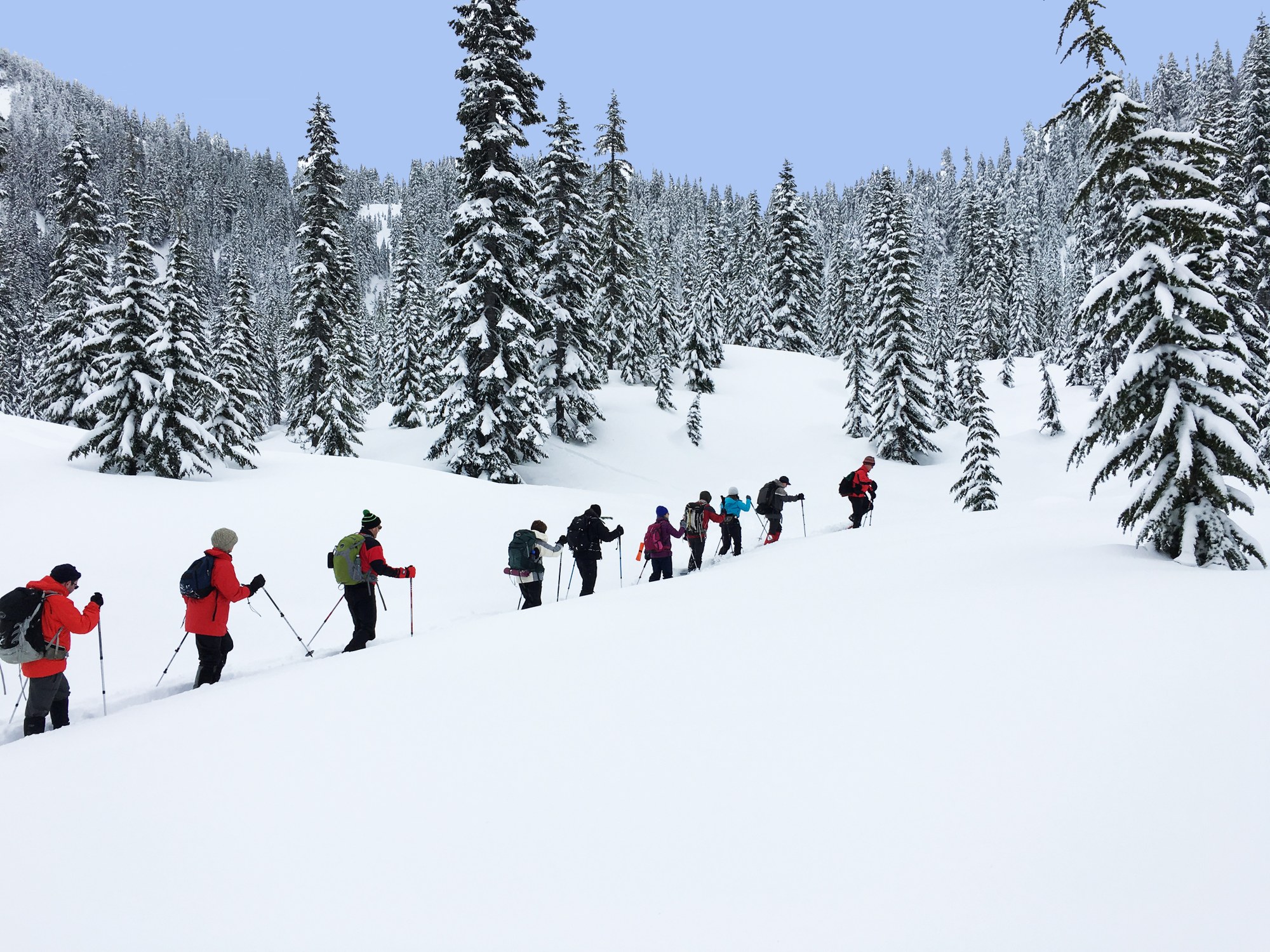 Basic Snowshoeing Course - Foothills - 2023 — The Mountaineers