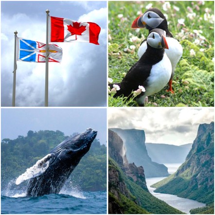 Newfoundland 2025 Global Adventure Sneak Peek (zoom)