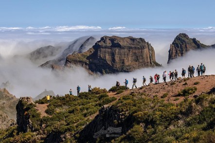 Pre-Trip Review for the 2025 Madeira Global Adventure group