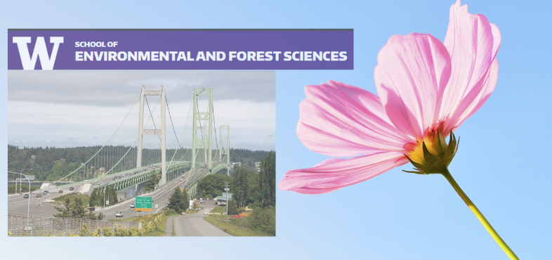 University of Washington Environment & Well-being Lab Science Presentation