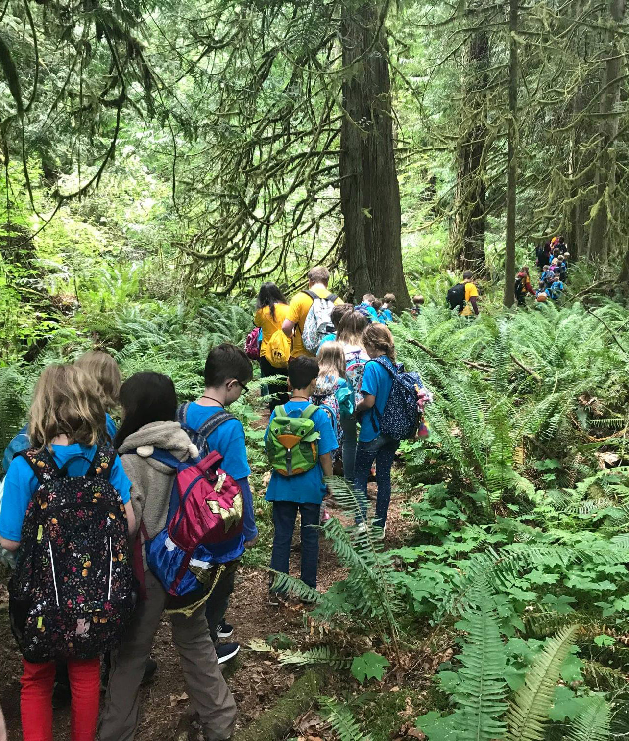 Kitsap Forest Adventure Camp Week 1 - 2022 — The Mountaineers