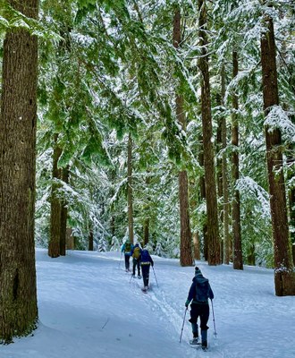 Snowshoe Trek and Lunch (L) - Meany Lodge