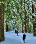 Snowshoe Trek and Lunch (L) - Meany Lodge