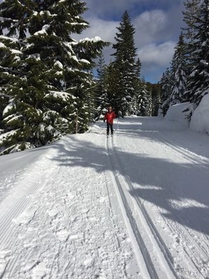 Basic Cross Country Skiing Field Trip 1 - White Pass Nordic Center