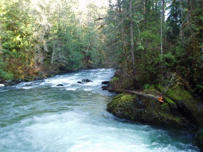 CHS 1 Hike - Duckabush River