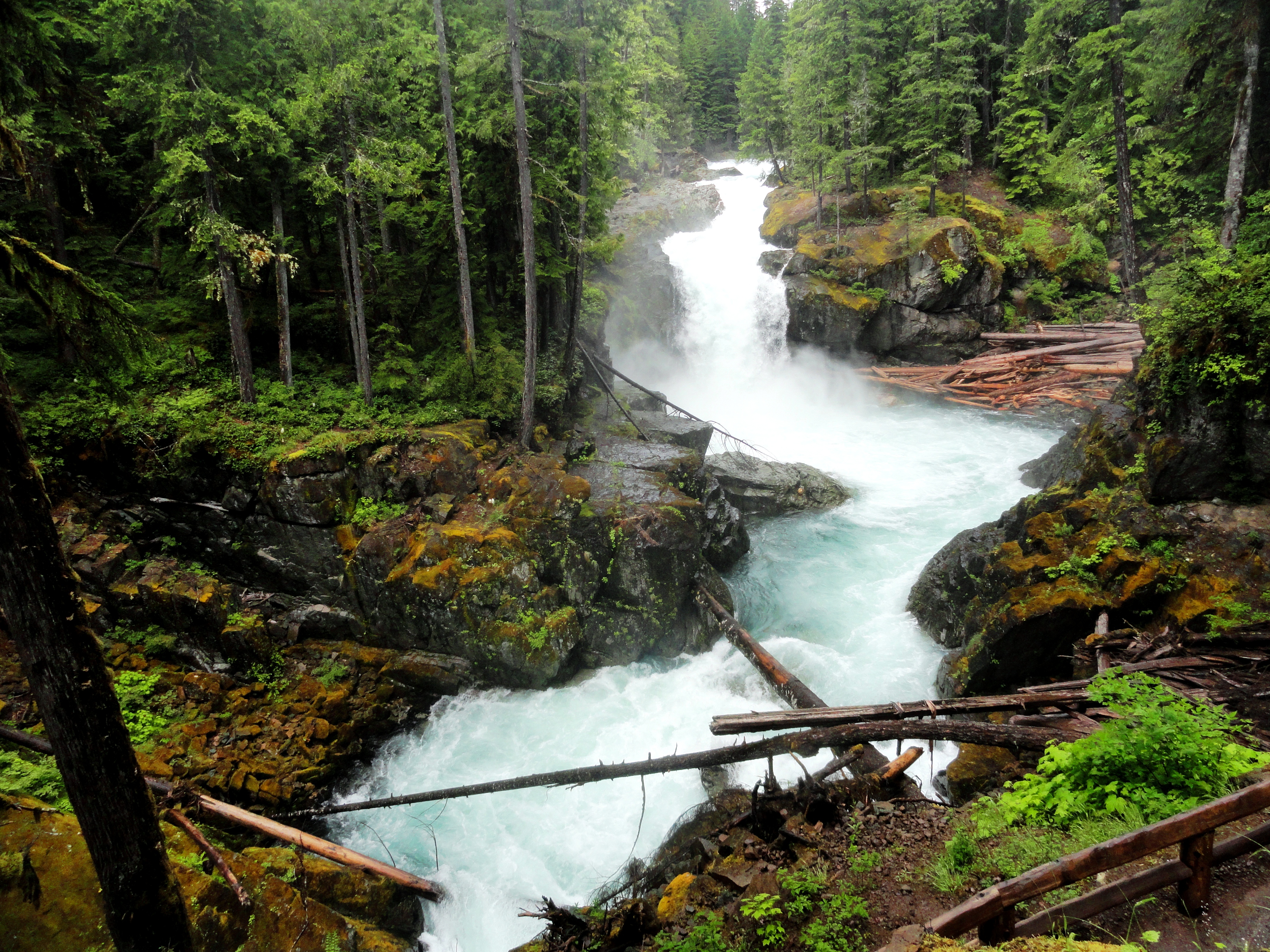 CHS 1 Hike - Eastside Trail (Mount Rainier) — The Mountaineers