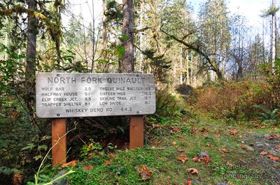 CHS 1 Hike - North Fork Quinault River