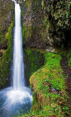 CHS 2 Hike - Eagle Creek to Tunnel Falls