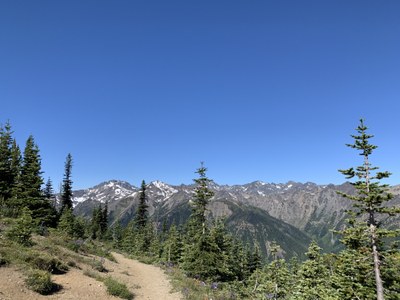 CHS 2 Hike - Marmot Pass