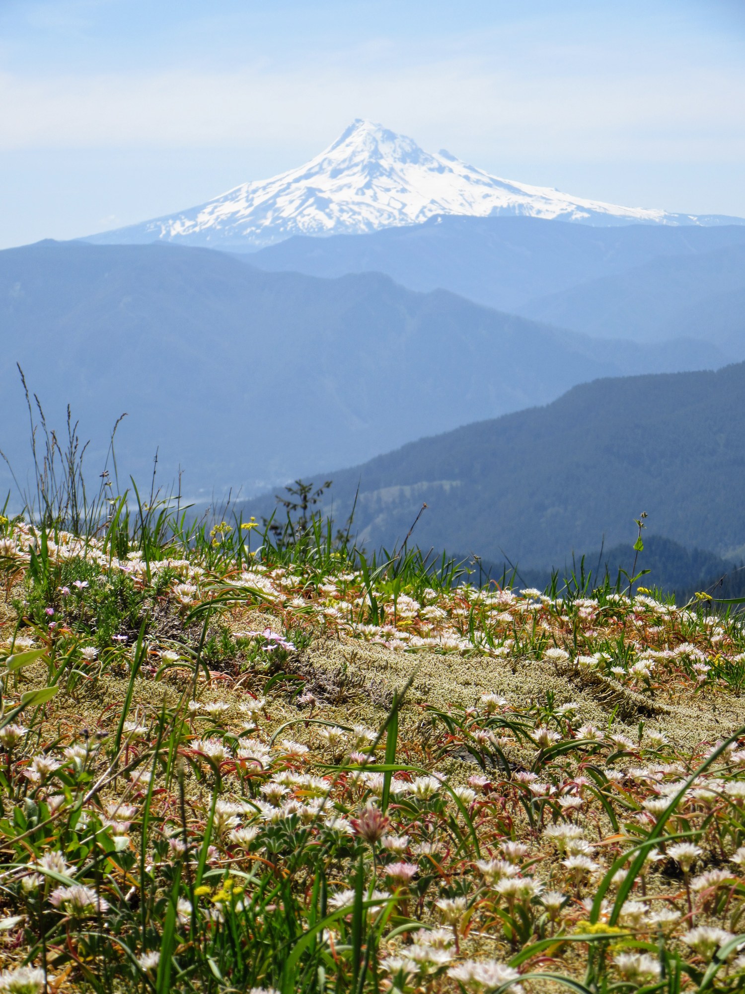 CHS 2 Hike - Pacific Crest Trail: Crest Horse Camp to Bridge of the ...