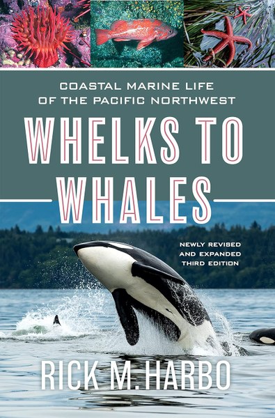 whelks to whales.jpg