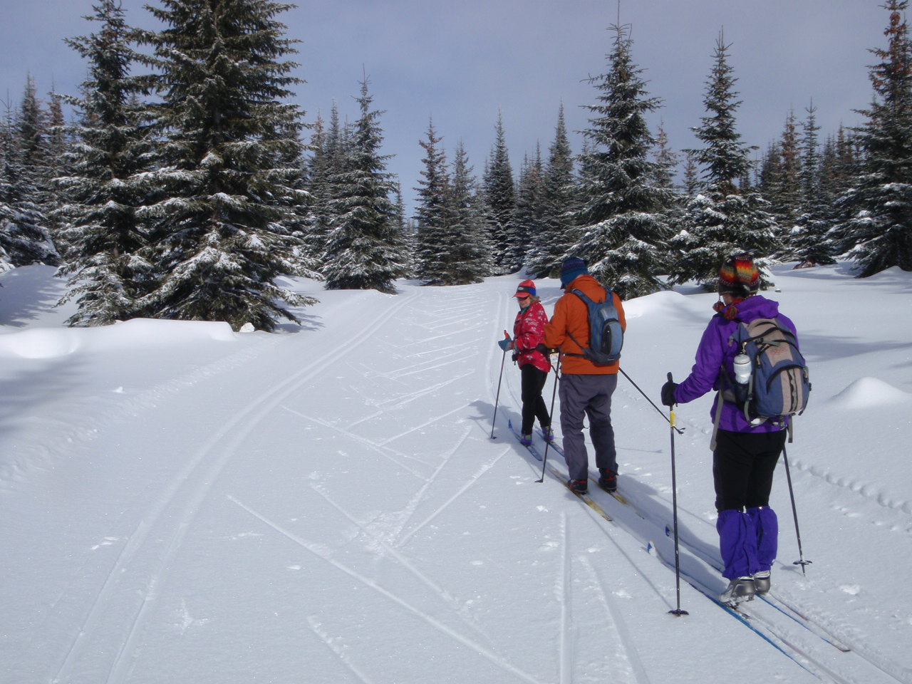 Intermediate XC (Classic) Skiing - AM - Seattle - 2016 — The Mountaineers