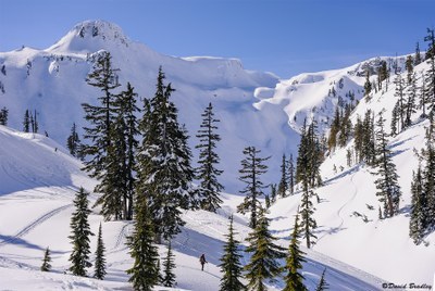 Basic Snowshoeing Equivalency - Seattle - 2025