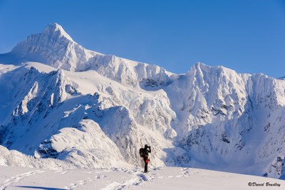 Intermediate Snowshoeing Course - Seattle - 2021