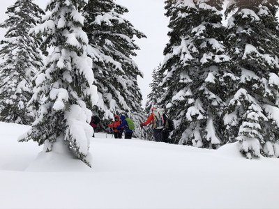 Basic Snowshoeing Skills Instructor Clinic - Commonwealth Basin — The ...