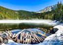 Seattle Explorers Hike - Talapus Lake Trail