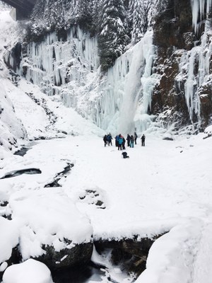 Seattle Explorers Snowshoe - Franklin Falls