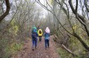 Activity - Washington Park Arboretum