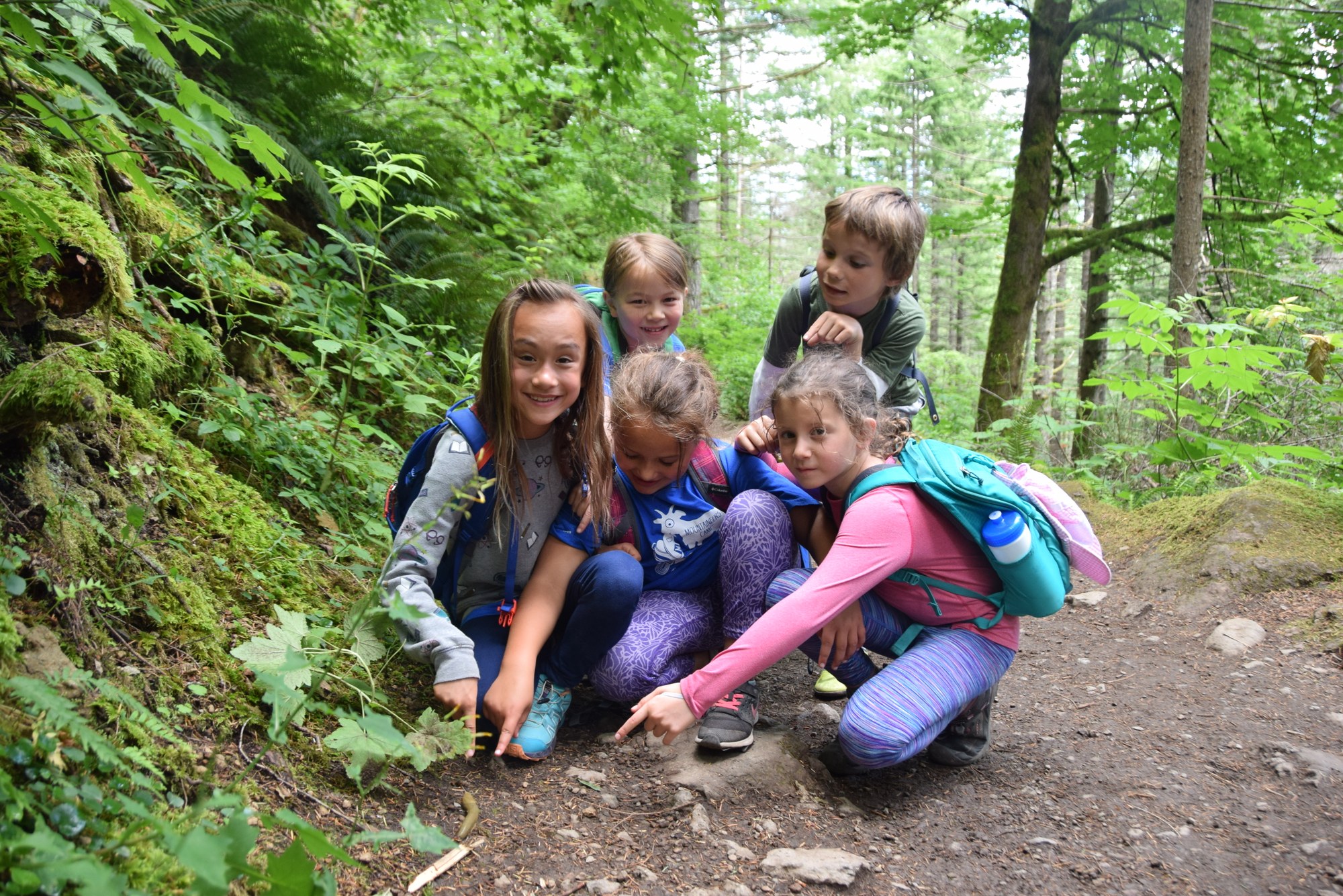 Mt. Rainier Trip - Cougar Rock Campground — The Mountaineers