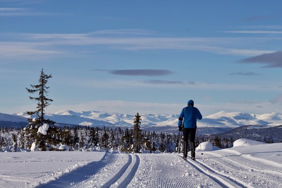 XC Skiing Global Adventure to Norway: Info Session