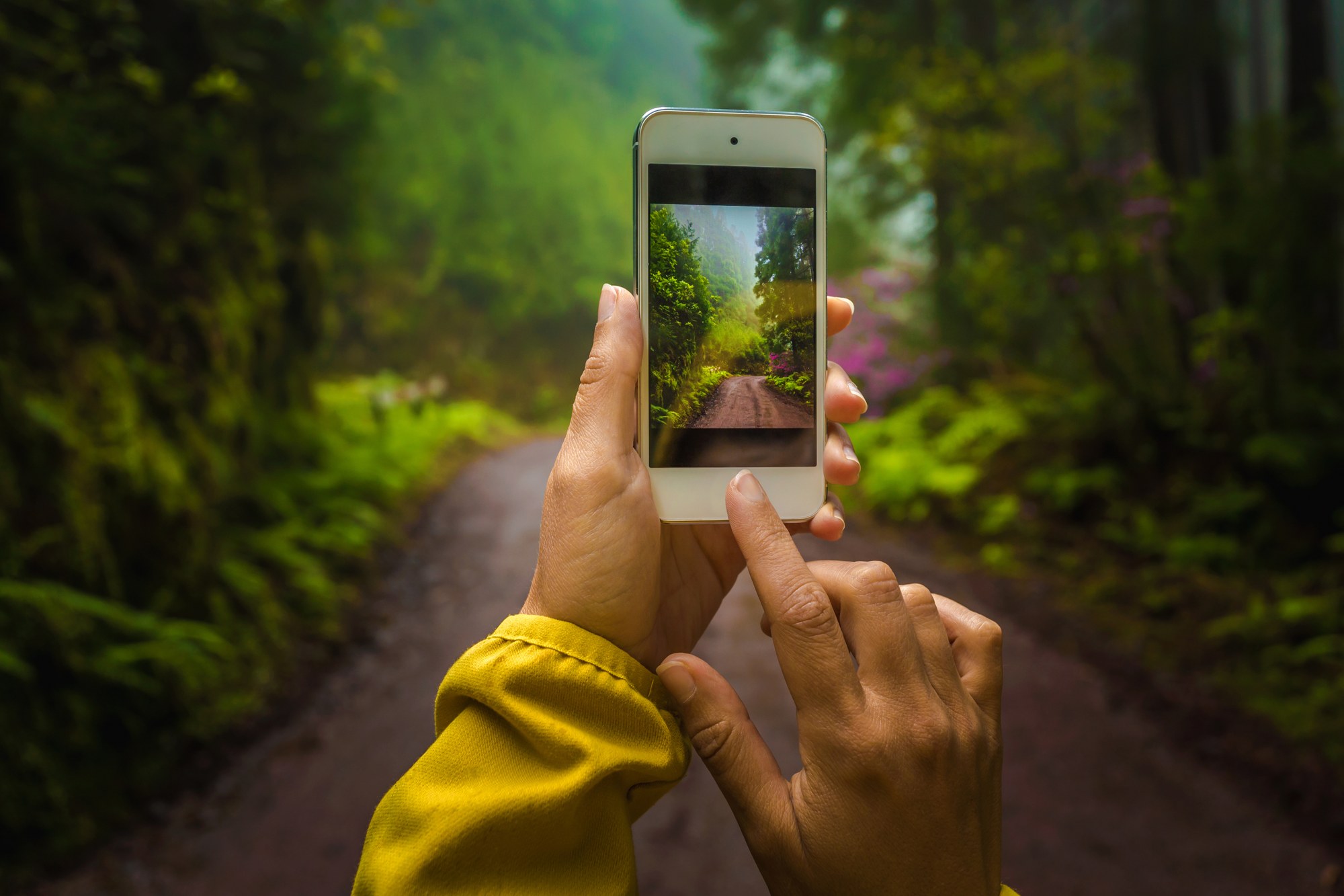 phone-it-in-photowalk-class-the-mountaineers