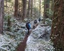 Winter Hiking Series: I-90 Alley Classroom Session - Online Classroom