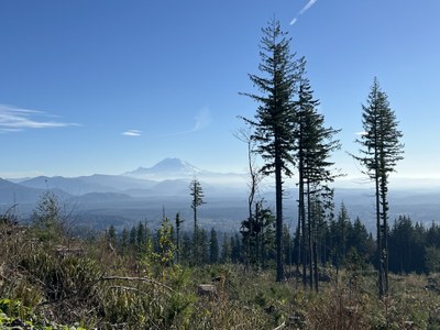 Winter Hiking Series: I-90 Alley February Hikes - Around South Tiger Mountain