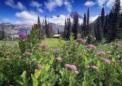 Intro to Backpacking Field Trip - Wonderland Trail: Longmire to Westside Road