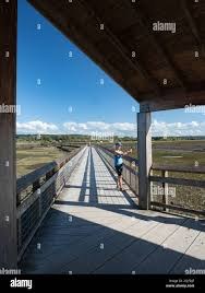 Adventure Activity - Billy Frank Jr. Nisqually National Wildlife Refuge