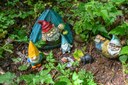 Adventure Activity - Gnome Trail