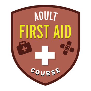 Adult First Aid Course