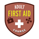 Adult First Aid Course